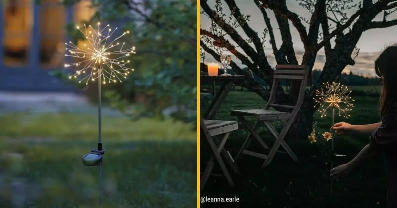 pissenlit-solaire-planter