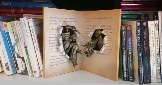 insert-bibliotheque-harry-potter-voldemort