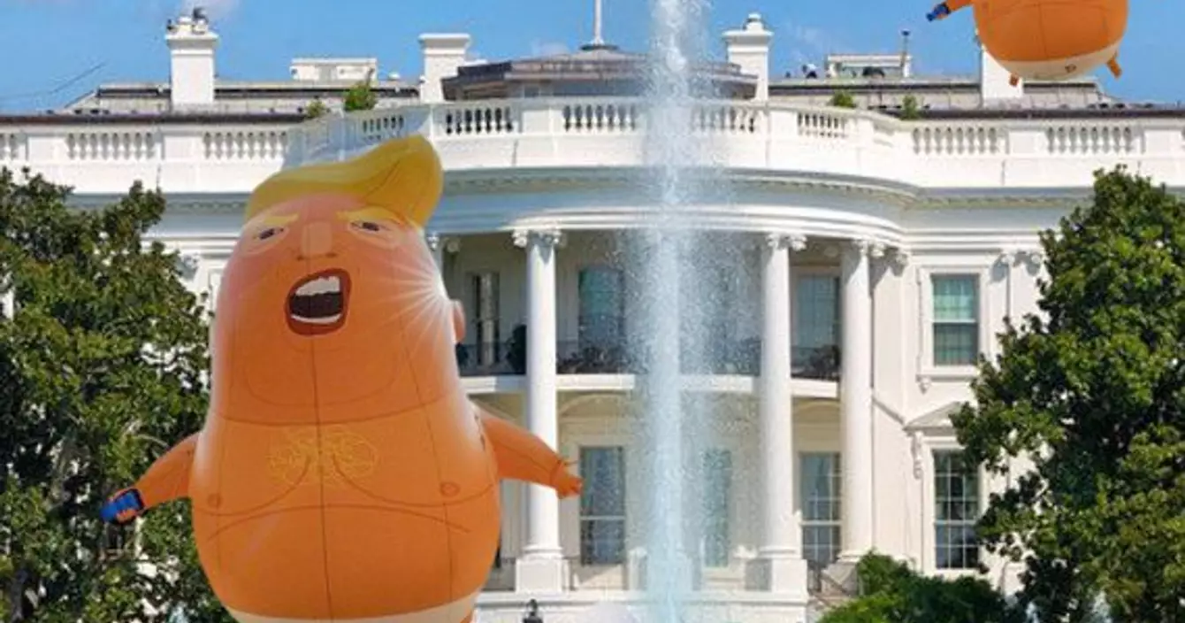 il_570xN.1577647126_cb0k