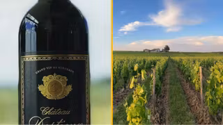 DEGUSTATION-VIN-BORDEAUX-WINALIST