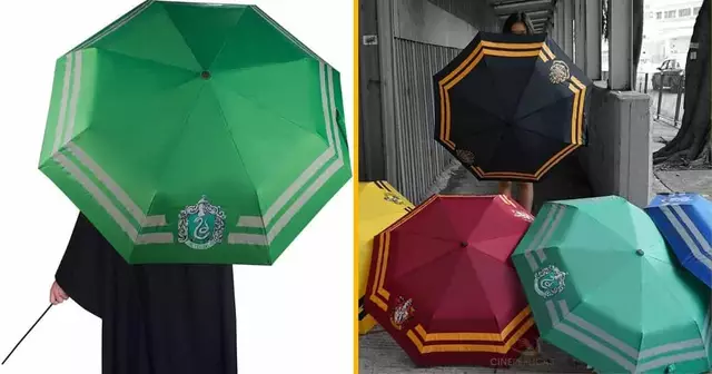 parapluie-serpentard