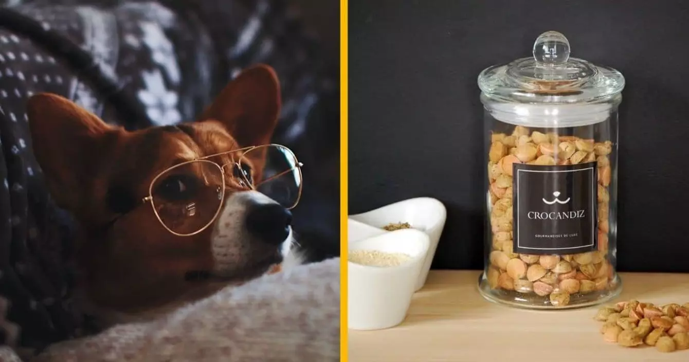 crocandiz-une-marque-gourmandises-luxe-naturel-chiens
