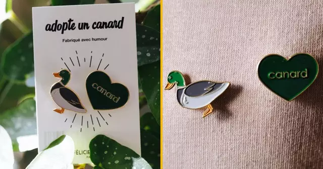 pins-couple-canard