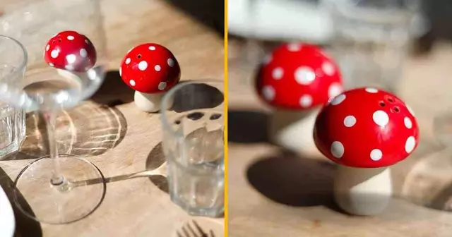 set-duo-sel-poivre-champignons