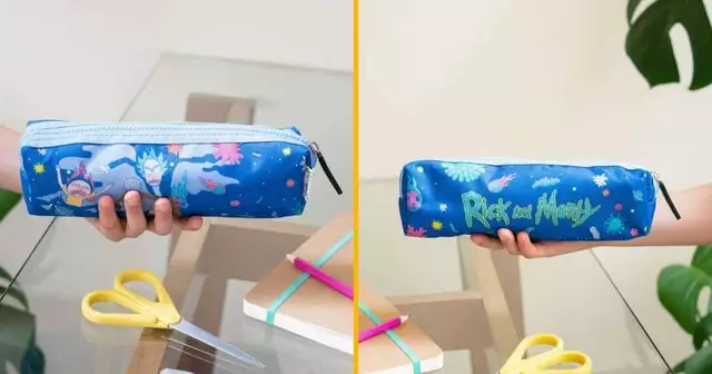 protege-chaleur-pare-brise-rick-morty