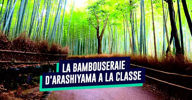 une_bambouseraie