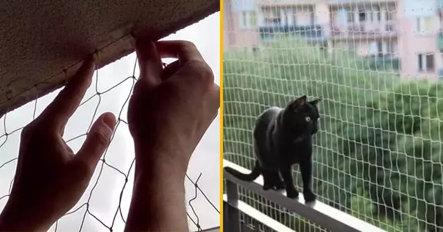 filet-protection-balcon