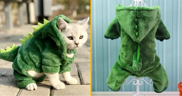 un-costume-de-dinosaure-pour-chien