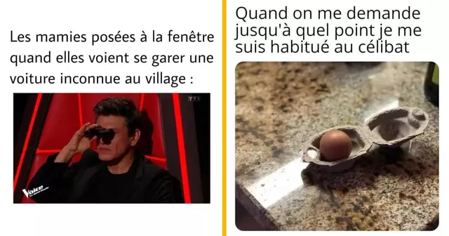 top memes semaine 13