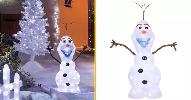 decoration-lumineuse-olaf-reine-neiges