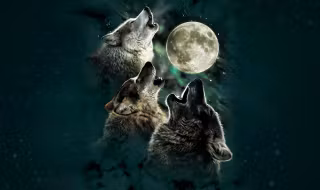3wolfmoon