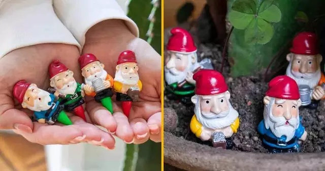 petits-nains-jardin-occupe-plante