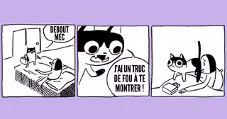 une_strips