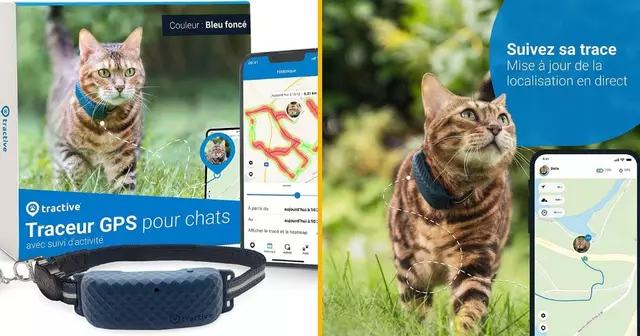 collier-gps-chat