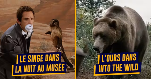 une-top-animaux-acteurs-2