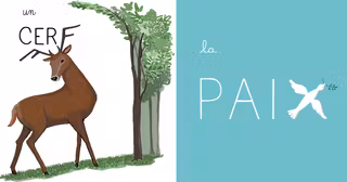 une_dessin_orthographe