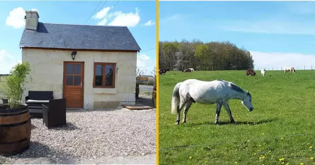 petite-loge-vignes-centre-val-loire