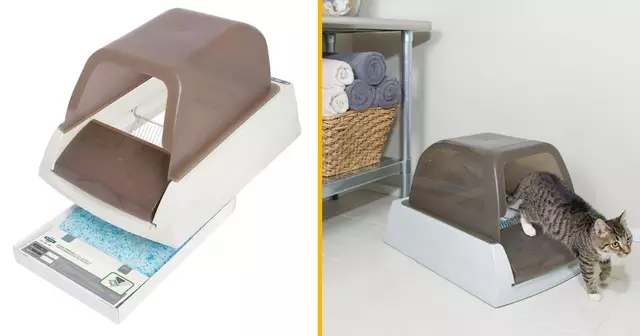 litiere-chat-nettoie-toute-seule