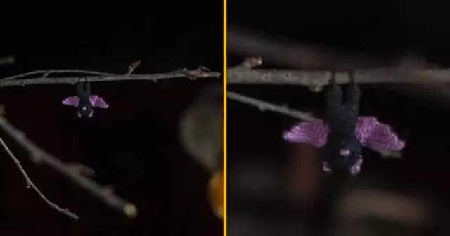 mini-chauve-souris-crochet