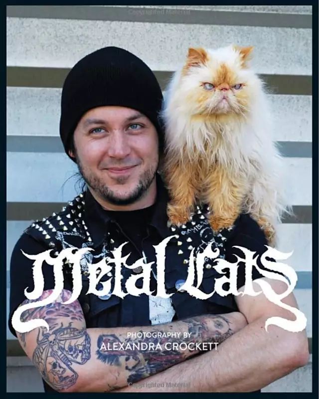 metal cat
