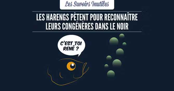 SAVOIRS_INUTILES-24 (1)