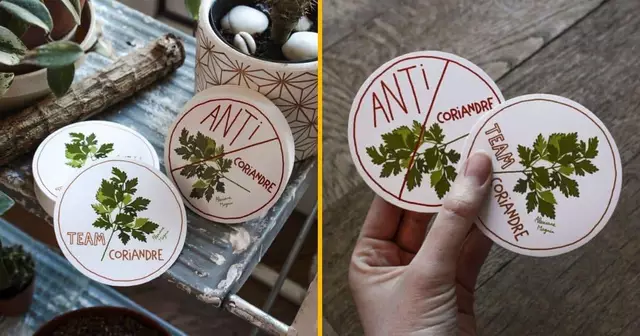 autocollants-pro-anti-coriandre