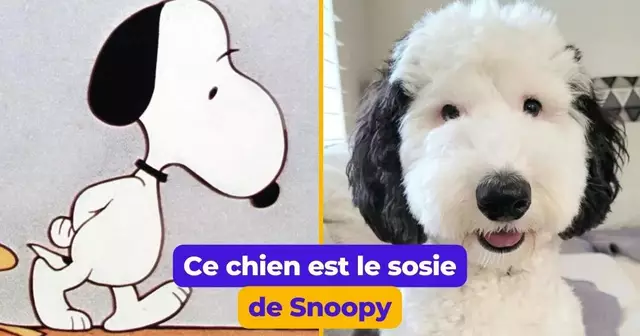 UNE Quentin - TOUS LES RDV (7)