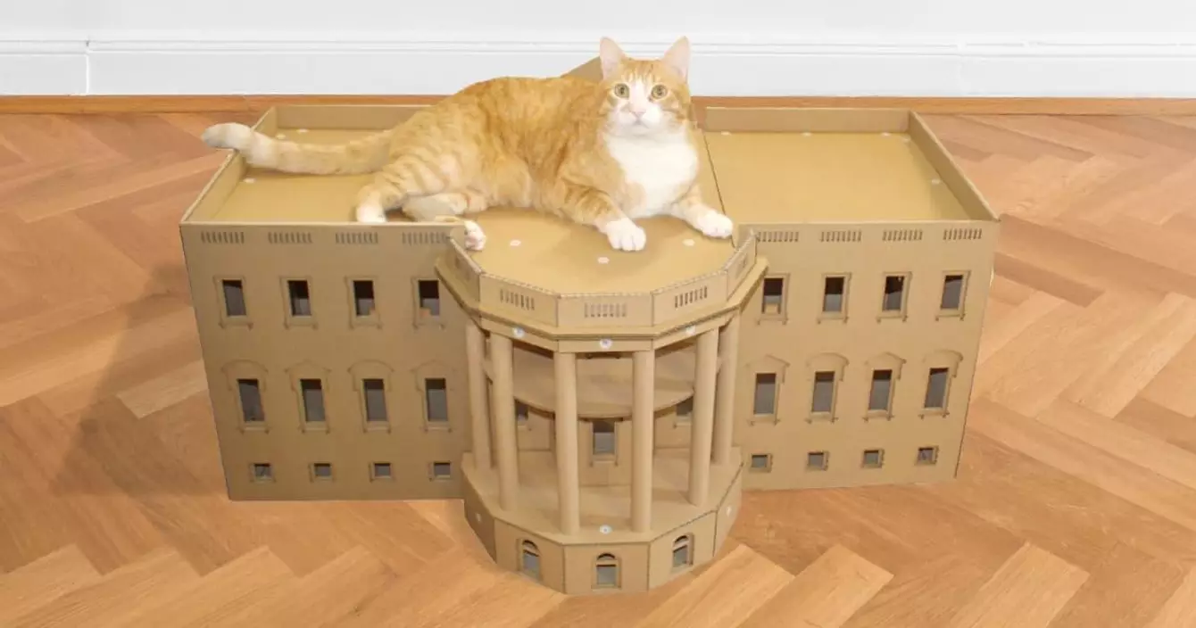 maison-blanche-carton-chat-panier