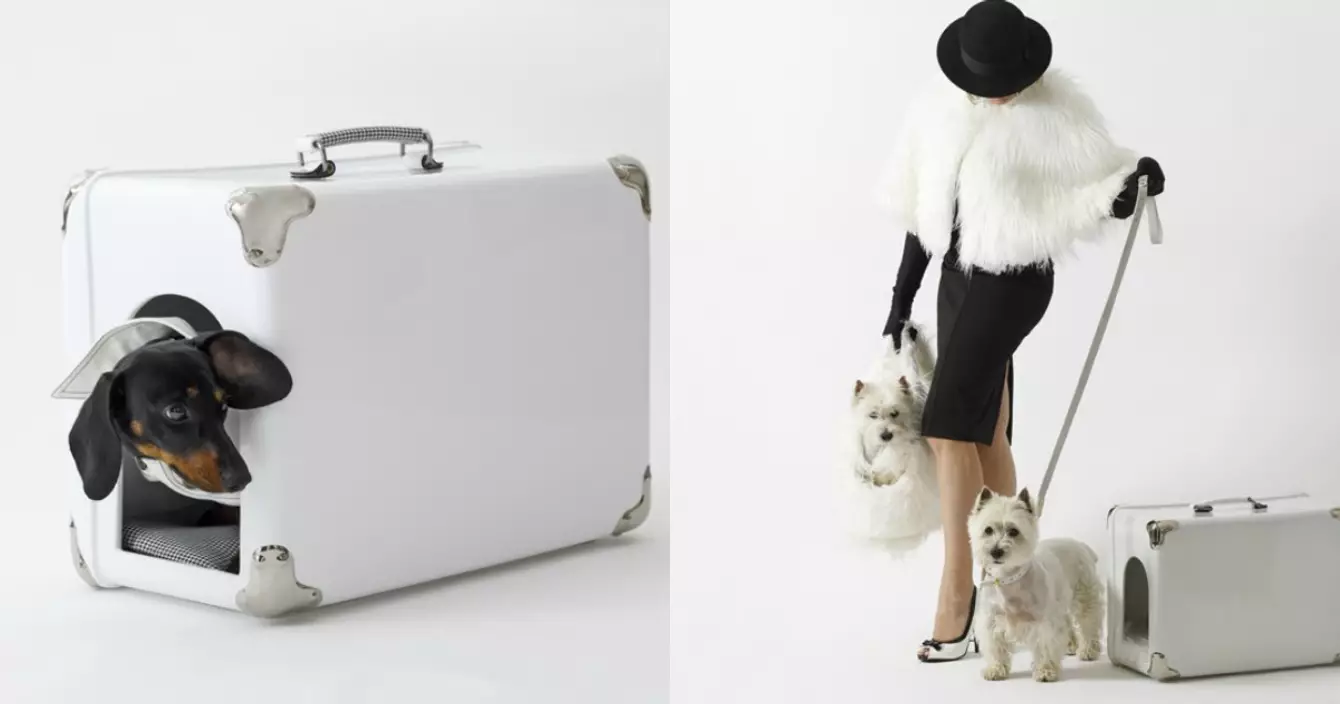 panier-valise-chien