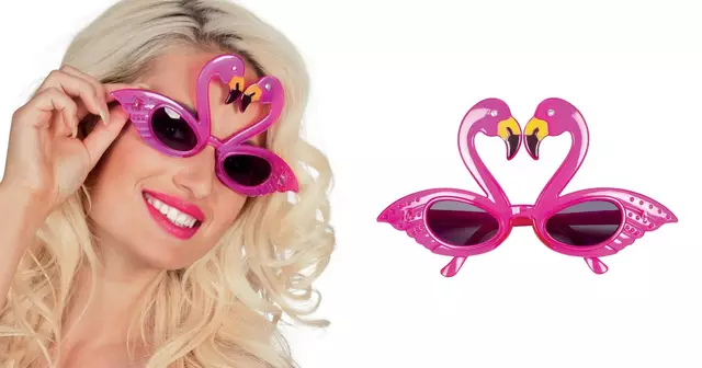 lunettes-flamant