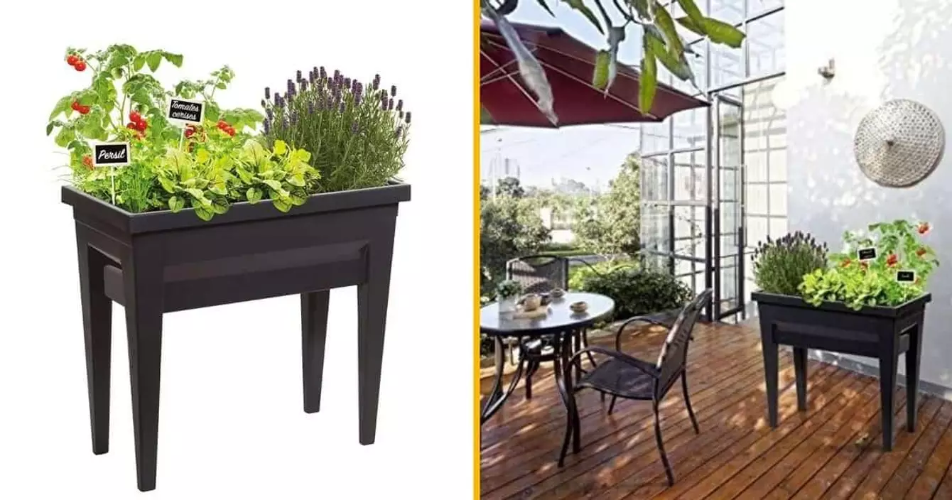 serre-roulettes-faire-pousser-legumes