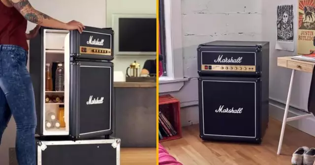 frigo-ampli-marshall