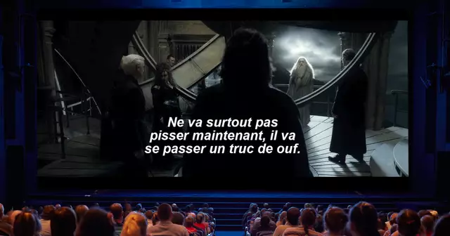 UNE_HARRY-POTTER (2)