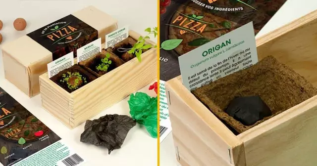 kit-plantation-special-pizza