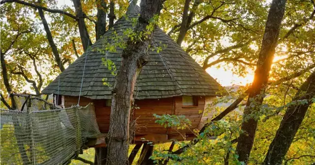 cabane-perchee-arbres-gers