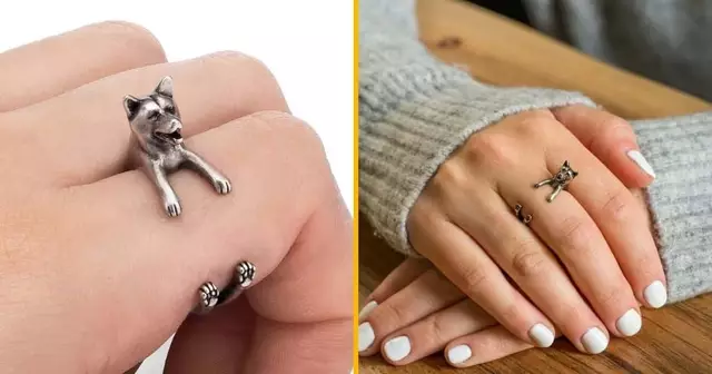 coussin-shiba-galaxie