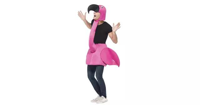 costume-flamant