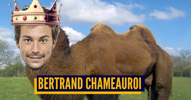 chameauroy