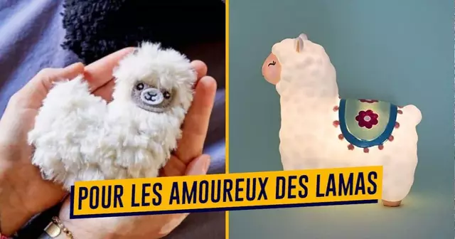 UNE_SHOPPING_lama (1)