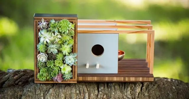 maison-oiseaux-moderne-mur-vegetal