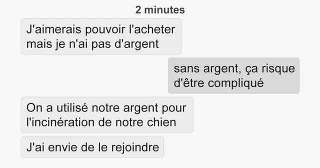 UNE_TOPITO_screenshot-iphone-vinted-chien-incineration