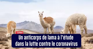 BONNES_NOUVELLES_06MAI