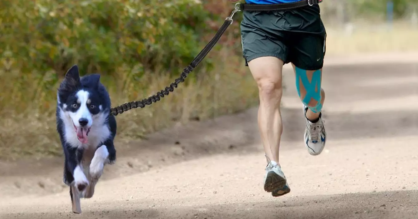 7155uuwagDL._SL1000_