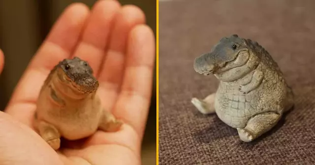 figurine-crocodile-chubby-cantine