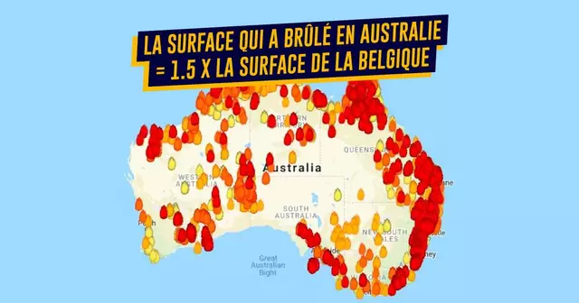 UNE_TOPITO_australie-incendie