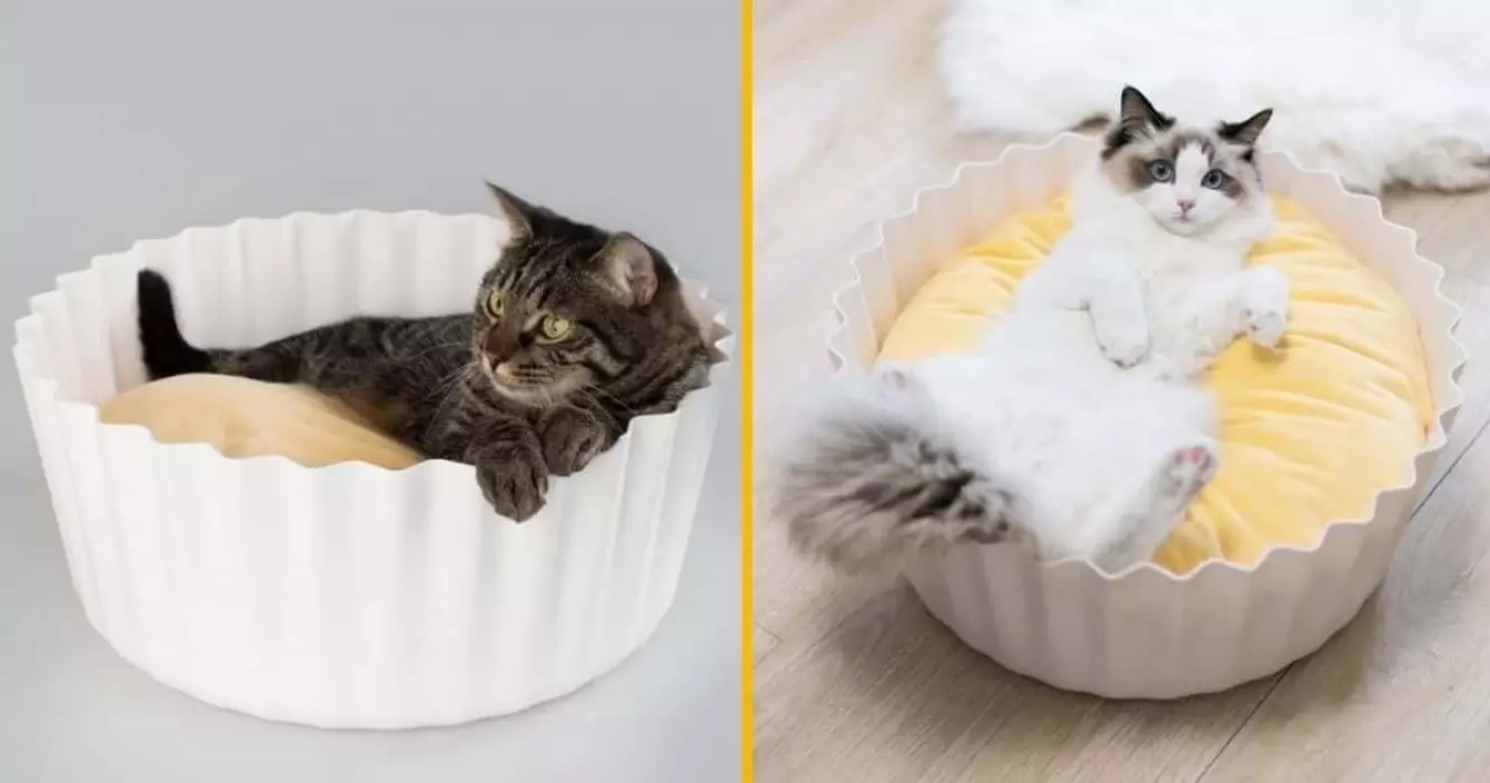 un-panier-pour-transformer-ton-animal-en-cupcake