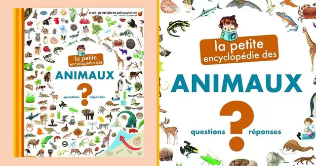 livre-enfant-petite-encyclopedie-des-animaux