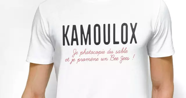 t-shirt-kamoulox