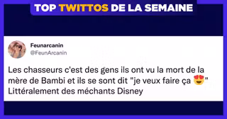 une-top-twittos-feunarcanin-2