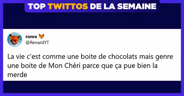 top twittos renardyt